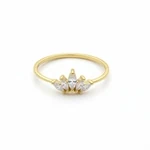 טבעת דגם נטע